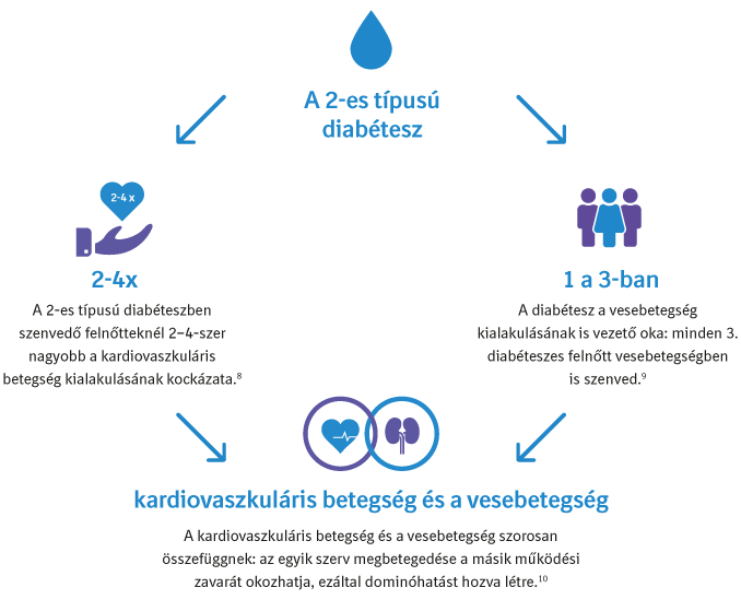 Miért számít a szív és a vese? | Act4Diabetes
